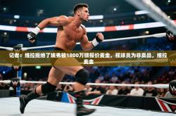 记者：维拉拒绝了埃弗顿1800万镑报价麦金，视球员为非卖品，维拉 麦金