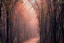 雷速茶馆：有没有那些球员是你一听名字就爱上的？，雷速足球