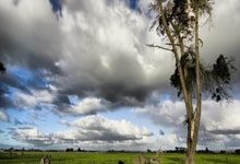 雷速茶馆：有没有那些球员是你一听名字就爱上的？，雷速足球