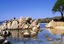 富莱堡凭借一方进球，主场惊险获胜斩获三分